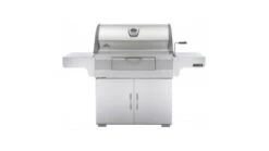 New Products 13 Napoleon PRO605CSS Charcoal Professional BBQ - Free Cover