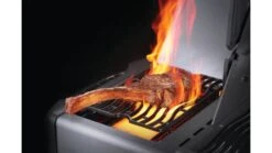 Napoleon Prestige P665RSIBPSS-3 Gas BBQ - Free Rotisserie And Cover -Napoleon || Broil King || Big Green Egg Sales prestige sizzle burner 1000x563 1